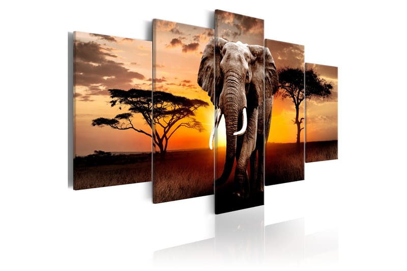 Bilde Elephant Migration 100x50 - Artgeist sp. z o. o. - Lerretsbilder
