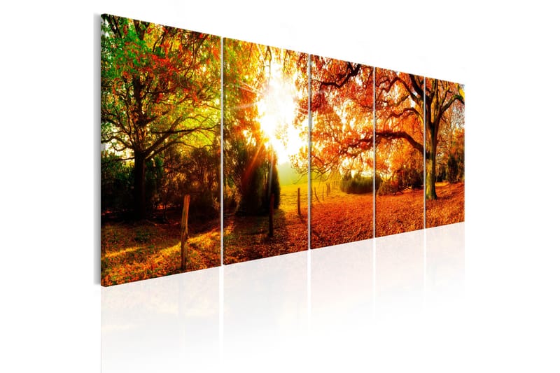 Bilde Enchanting Autumn 200x80 - Artgeist sp. z o. o. - Lerretsbilder