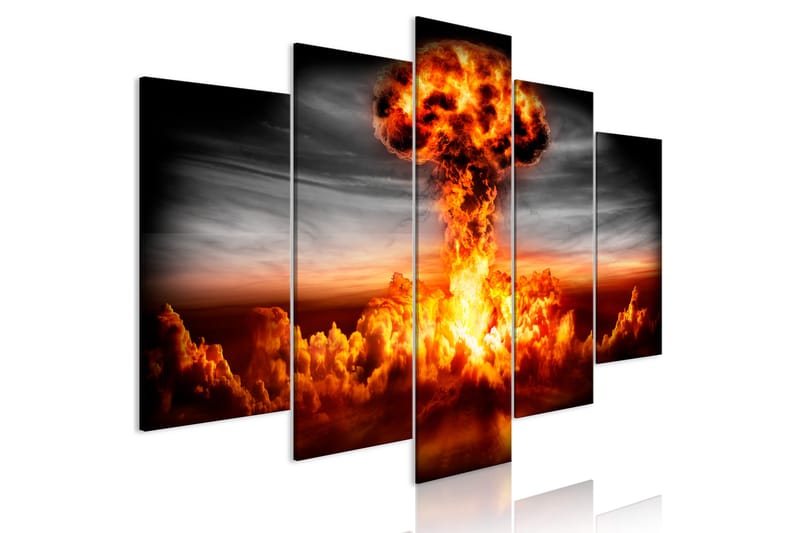 Bilde Explosion 5 Parts Wide 100x50 - Artgeist sp. z o. o. - Lerretsbilder