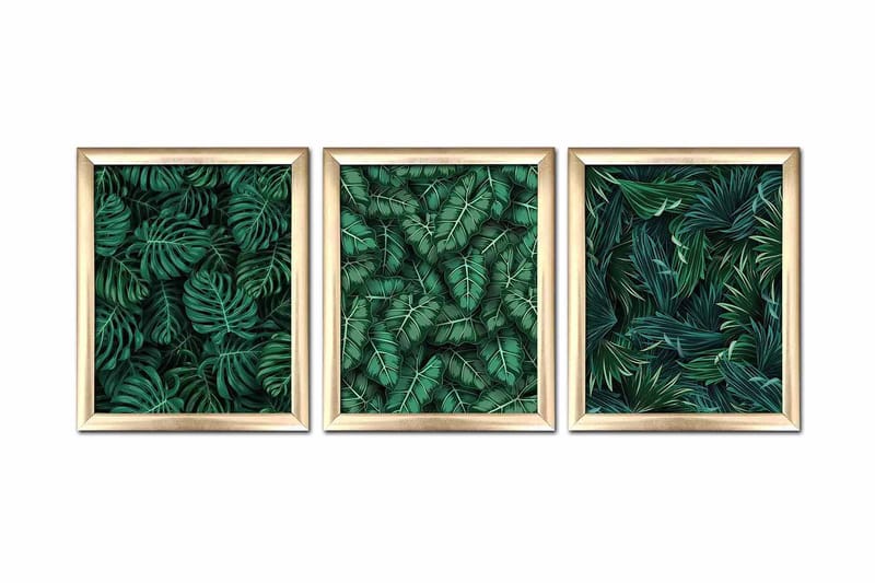 Bilde Floral med Ramme 3-pk Flerfarget, 22,3x52,8 cm