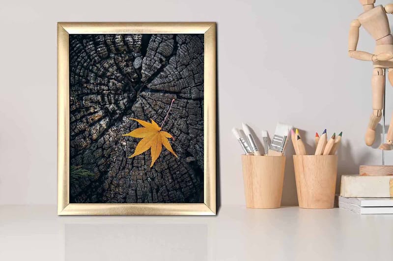 Bilde Floral med Ramme Flerfarget - 22,3x52,8 cm - Interiør - Maleri & posters - Lerretsbilder