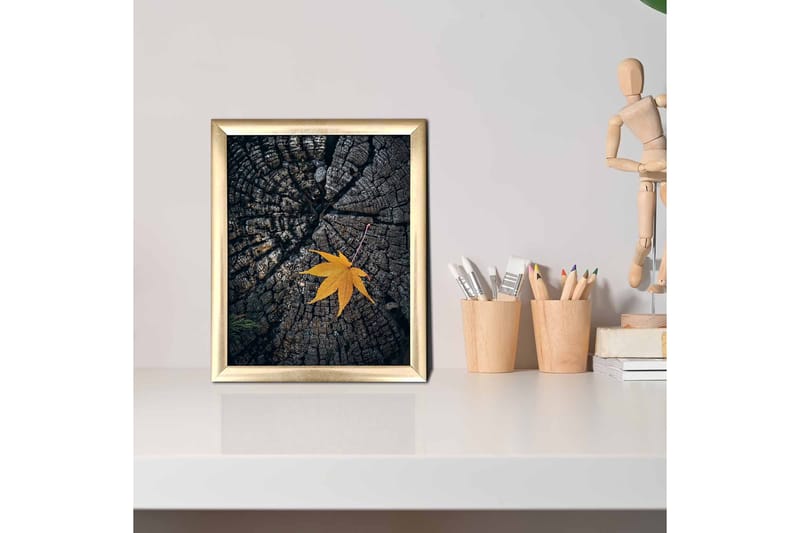 Bilde Floral med Ramme Flerfarget - 22,3x52,8 cm - Interiør - Maleri & posters - Lerretsbilder