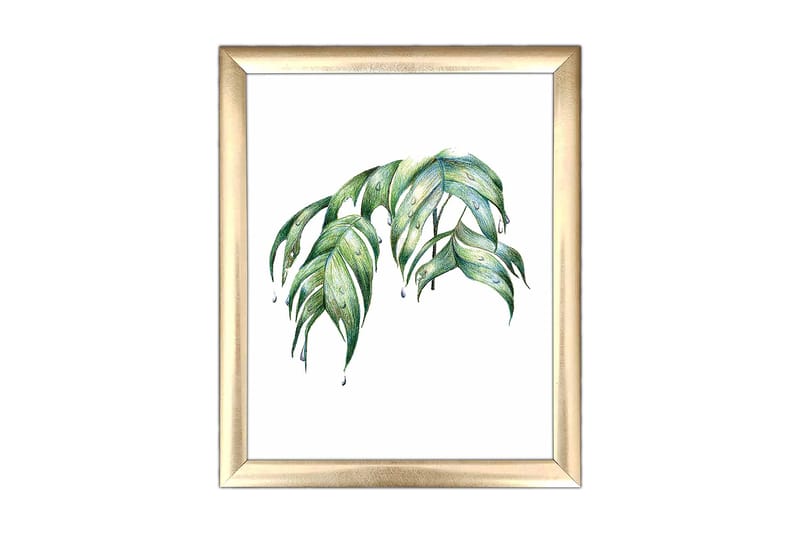 Bilde Floral med Ramme Flerfarget - 22,3x52,8 cm - Interiør - Maleri & posters - Lerretsbilder