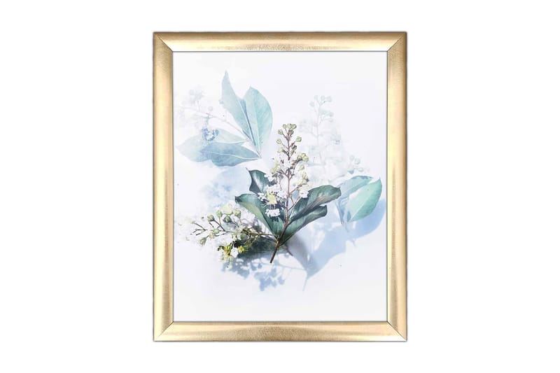 Bilde Floral med Ramme Flerfarget - 22,3x52,8 cm - Interiør - Maleri & posters - Lerretsbilder