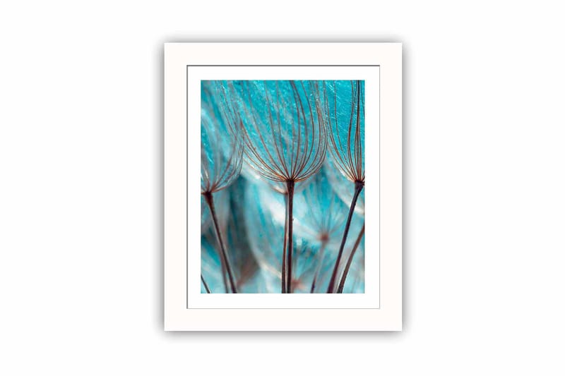 Bilde Floral med Ramme Flerfarget - 22,3x52,8 cm - Interiør - Maleri & posters - Lerretsbilder