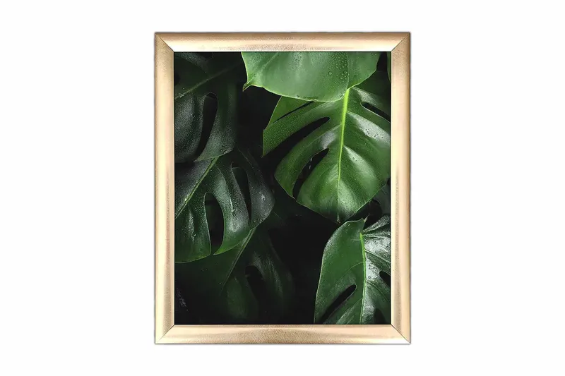 Bilde Floral med Ramme Flerfarget, 22,3x52,8 cm