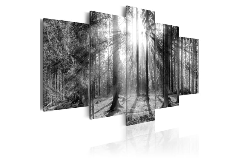 Bilde Forest Of Memories 200x100 - Artgeist sp. z o. o. - Lerretsbilder