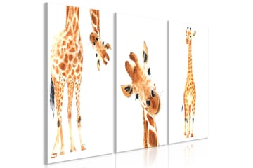 Bilde Funny Giraffes 3 Parts 120x60