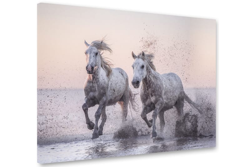 Bilde Horses 75x100 cm - Multifarge - Lerretsbilder