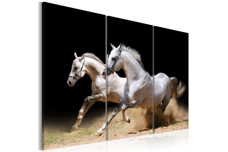 Bilde Horses- Power And Velocity 120x80 - Artgeist sp. z o. o. - Lerretsbilder