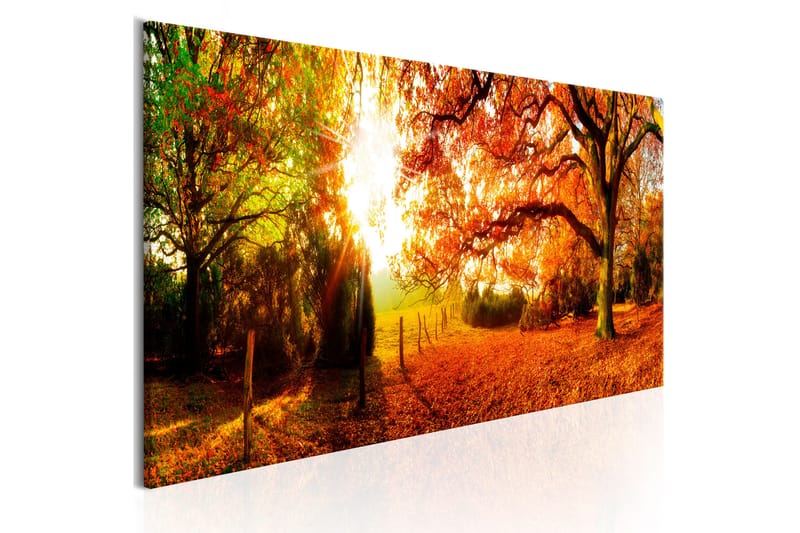 Bilde Magic Of Autumn 150x50 - Artgeist sp. z o. o. - Lerretsbilder