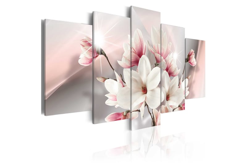 Bilde Magnolia In Bloom 100x50 - Artgeist sp. z o. o. - Lerretsbilder