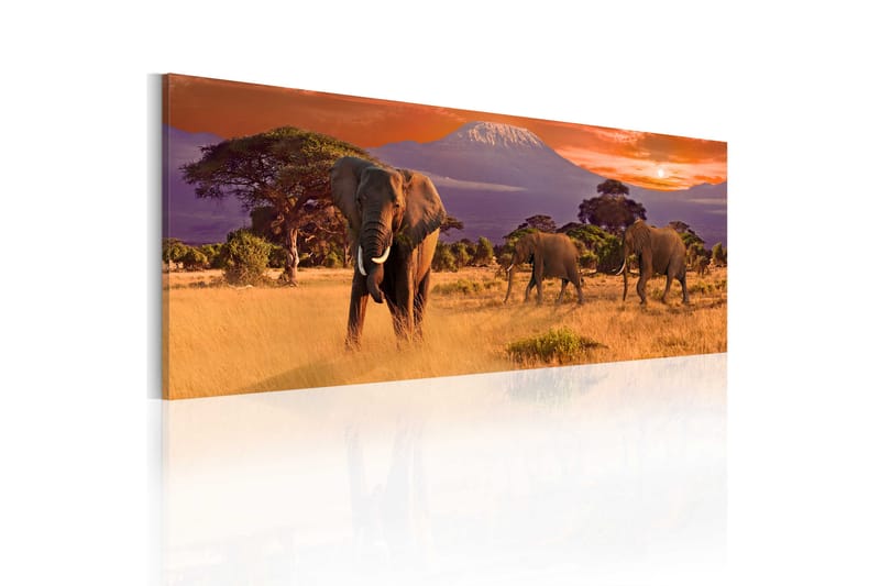 Bilde March Of African Elephants 120x40 - Artgeist sp. z o. o. - Lerretsbilder