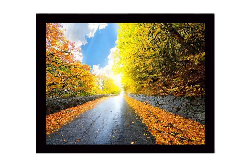 Bilde med Ramme Flerfarget - 44x15 cm - Interiør - Maleri & posters - Lerretsbilder