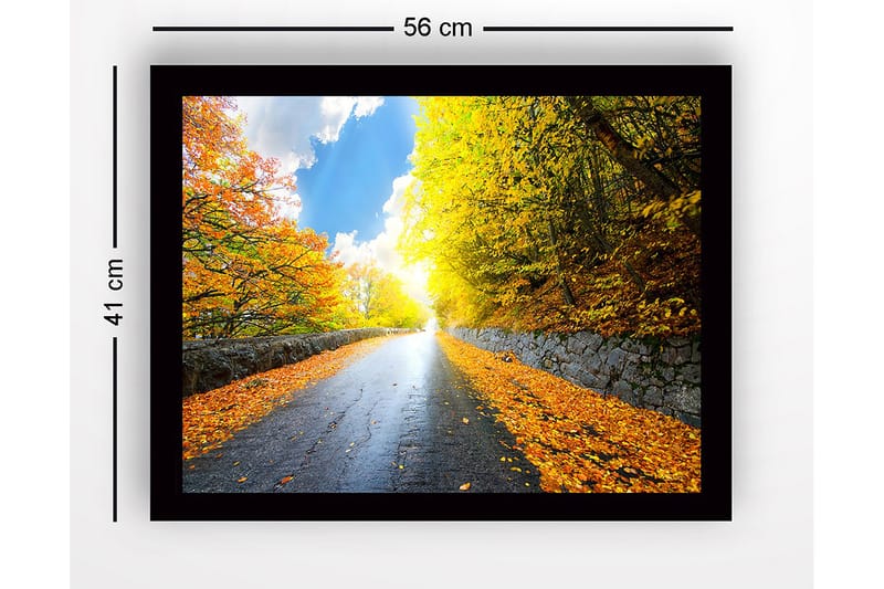 Bilde med Ramme Flerfarget - 44x15 cm - Interiør - Maleri & posters - Lerretsbilder