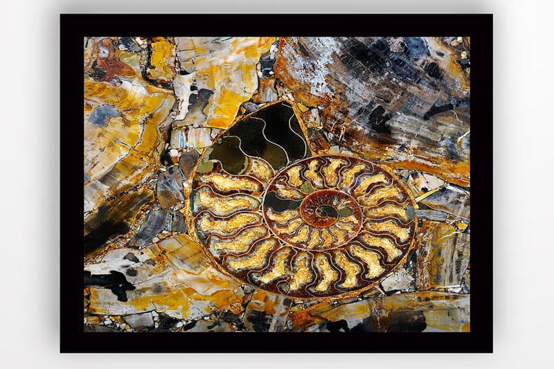 Bilde med Ramme Flerfarget - 44x15 cm - Interiør - Maleri & posters - Lerretsbilder