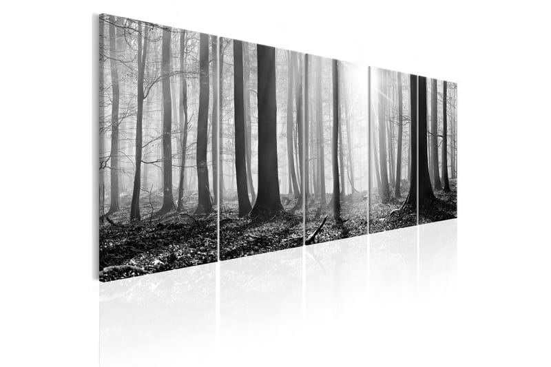 Bilde Monochrome Forest 225x90 - Artgeist sp. z o. o. - Lerretsbilder