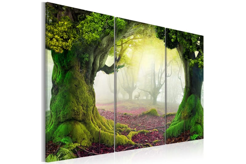 Bilde Mysterious Forest Triptych 120x80 - Artgeist sp. z o. o. - Lerretsbilder Bilde Mysterious Forest Triptych 120x80 - Artgeist sp. z o. o. - Lerretsbilder