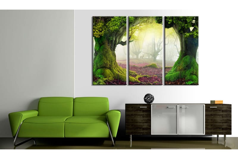 Bilde Mysterious Forest Triptych 120x80 - Artgeist sp. z o. o. - Lerretsbilder Bilde Mysterious Forest Triptych 120x80 - Artgeist sp. z o. o. - Lerretsbilder