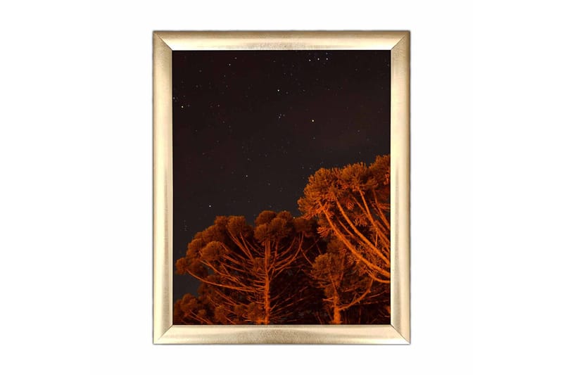 Bilde Nautical med Ramme Flerfarget - 22,3x52,8 cm - Interiør - Maleri & posters - Lerretsbilder