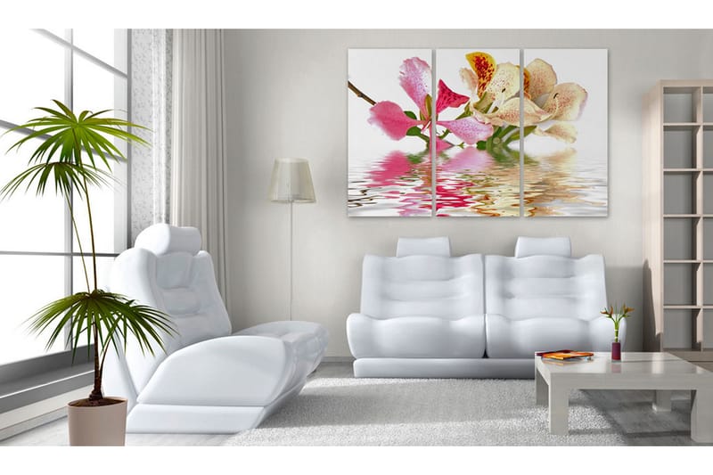 Bilde Orchid With Colorful Spots 120x80 - Artgeist sp. z o. o. - Lerretsbilder