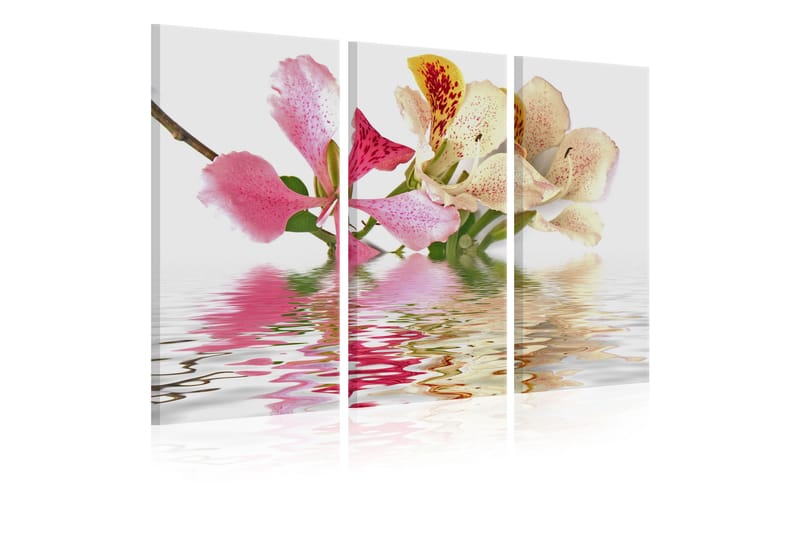 Bilde Orchid with colorful spots 90x60 - Artgeist sp. z o. o. - Lerretsbilder