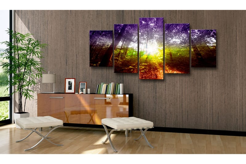Bilde Rainbow Forest 100x50 - Artgeist sp. z o. o. - Lerretsbilder
