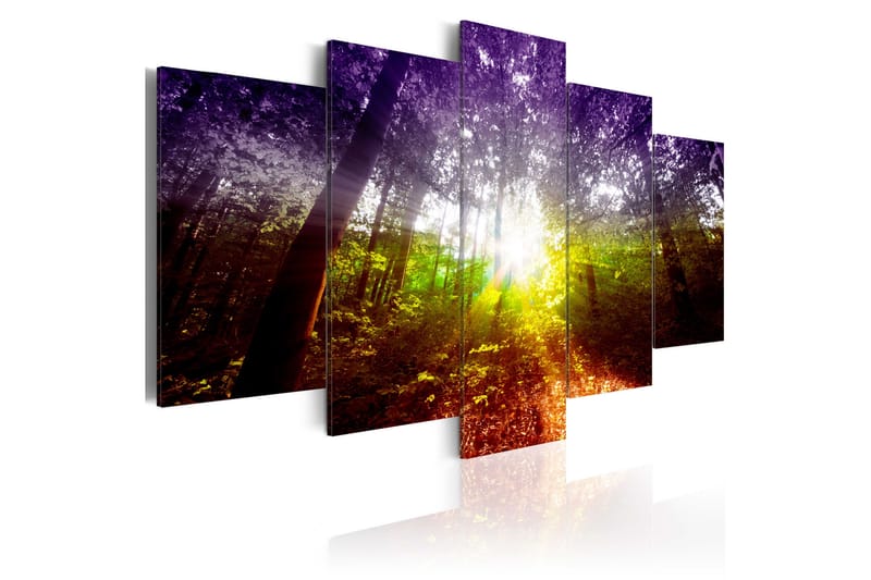 Bilde Rainbow Forest 100x50 - Artgeist sp. z o. o. - Lerretsbilder