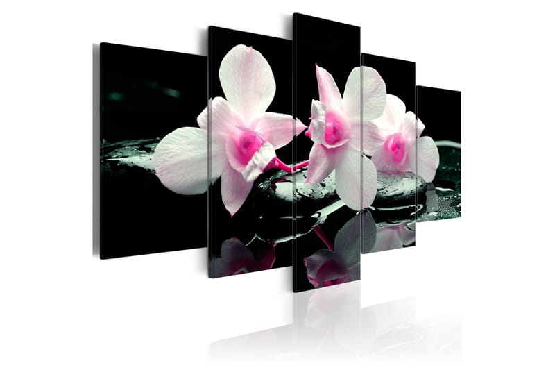 Bilde Rest Of Orchids 200x100 - Artgeist sp. z o. o. - Lerretsbilder