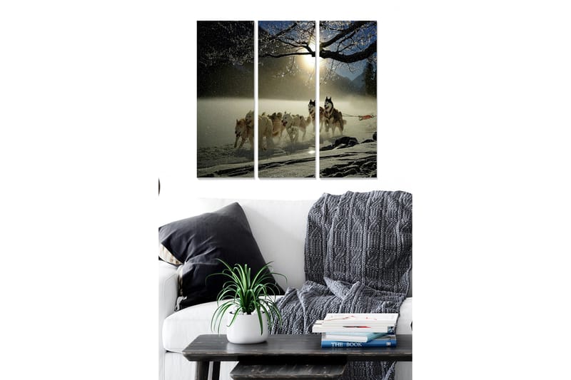 Bilde Scenic 3-pk Flerfarget - 22x05 cm - Interiør - Maleri & posters - Lerretsbilder