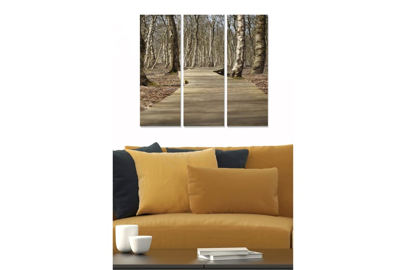 Bilde Scenic 3-pk Flerfarget, 22x05 cm