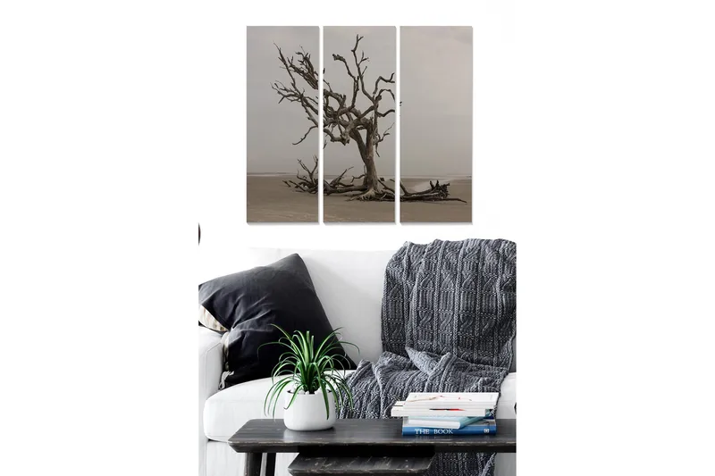 Bilde Scenic 3-pk Flerfarget, 22x05 cm