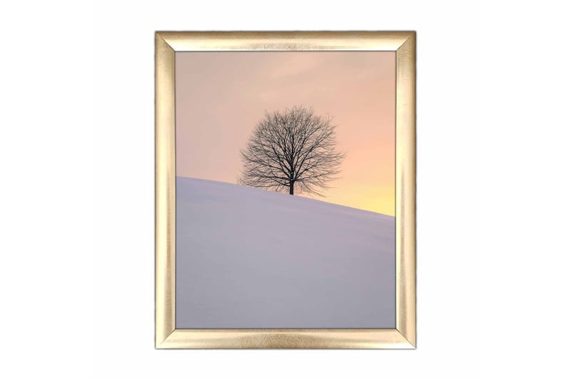 Bilde Scenic med Ramme Flerfarget - 22,3x52,8 cm - Lerretsbilder