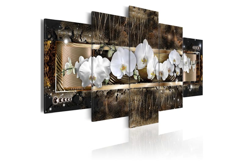 Bilde The Dream Of A Orchids 100x50 - Artgeist sp. z o. o. - Lerretsbilder