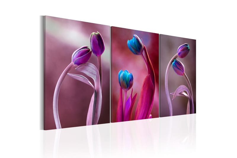 Bilde Tulips In Love 120x60 - Artgeist sp. z o. o. - Lerretsbilder