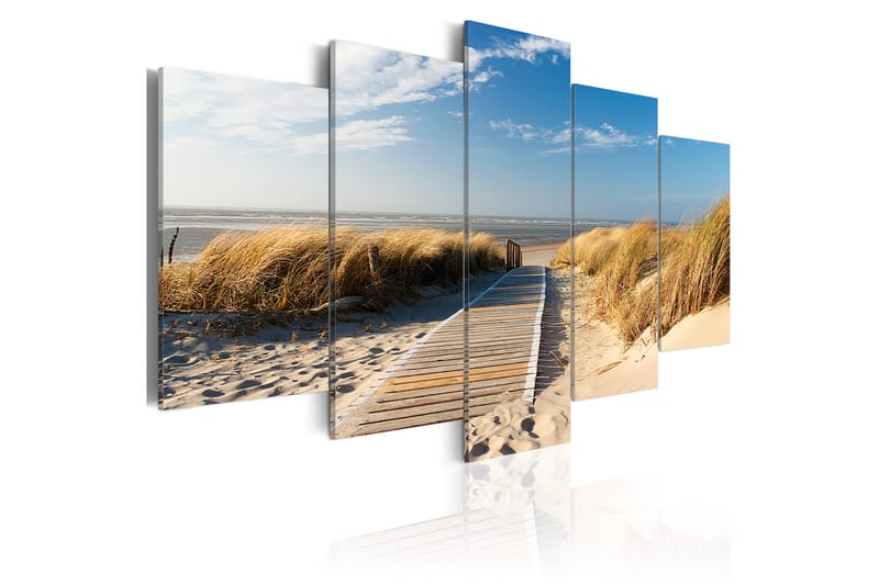 Bilde Ubevoktet Beach 5 Stk 200x100 - Artgeist sp. z o. o. - Lerretsbilder