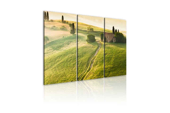 Bilde Under The Tuscan Sun 120x80 - Artgeist sp. z o. o. - Lerretsbilder