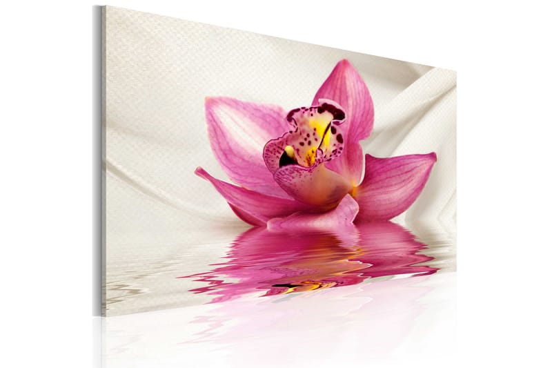Bilde Unusual Orchid 60x40 - Lerretsbilder