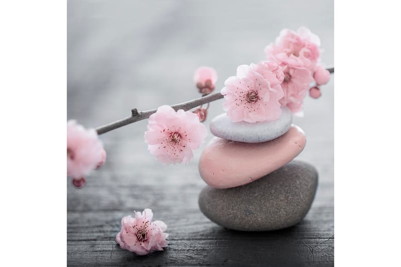 Bilde Pink Stone - 33x03 cm - Interiør - Maleri & posters - Lerretsbilder