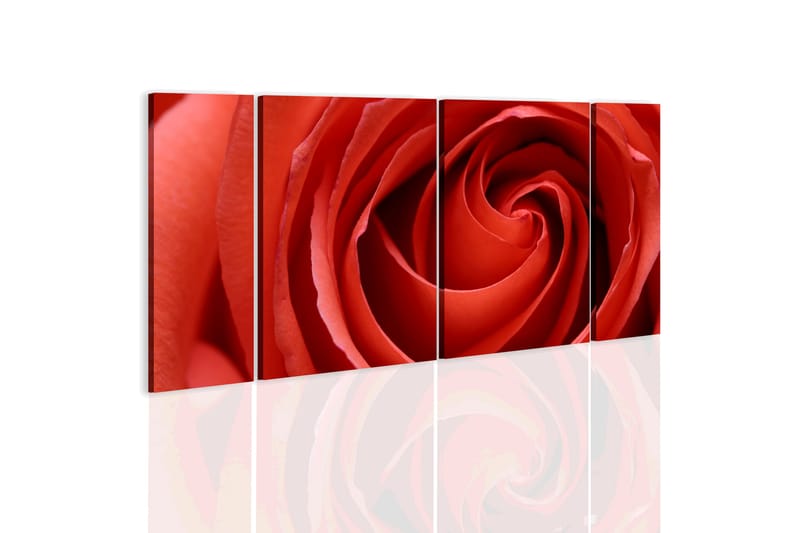 Bilde Passionate Rose 60x30 - Artgeist sp. z o. o. - Lerretsbilder