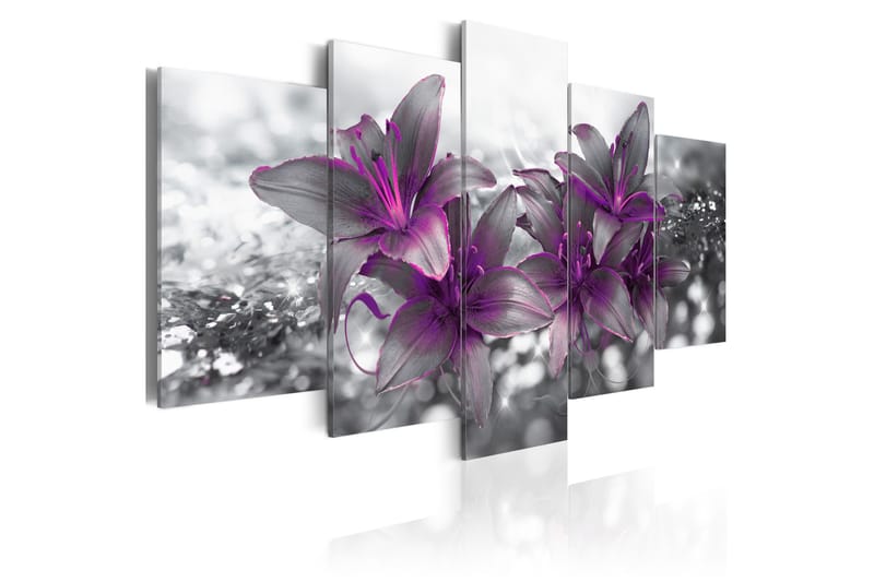 Bilde Princess Of The Night 200x100 - Lerretsbilder