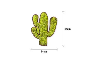 Cactus Canvasbilde - Grønn/Hvit - Interiør - Maleri & posters - Lerretsbilder