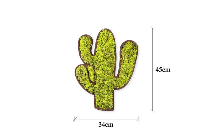 Cactus Canvasbilde - Grønn/Hvit - Interiør - Maleri & posters - Lerretsbilder