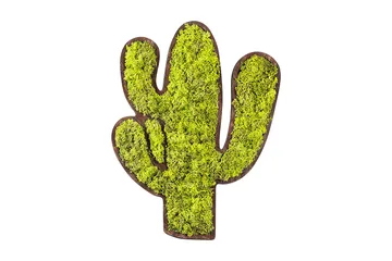 Cactus Canvasbilde - Grønn/Hvit - Interiør - Maleri & posters - Lerretsbilder