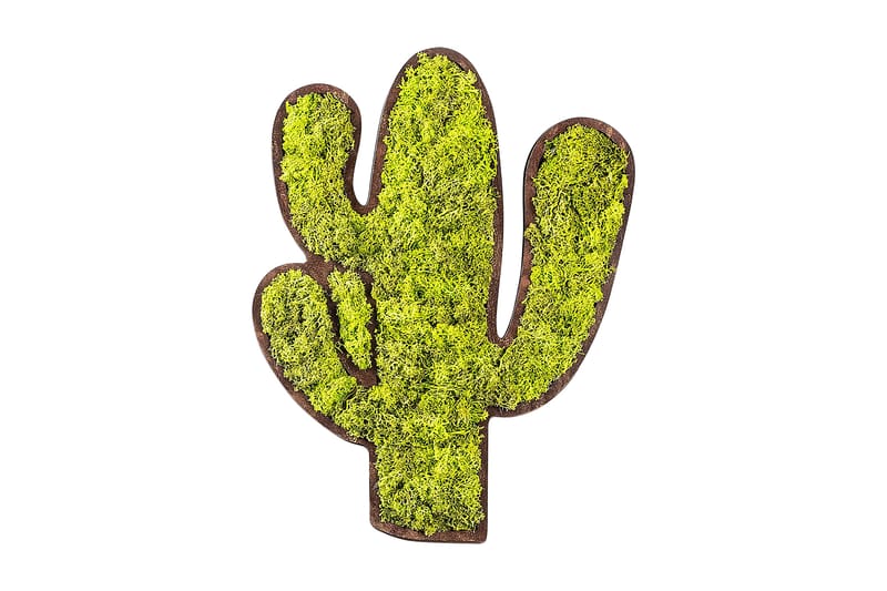 Cactus Canvasbilde - Grønn/Hvit - Interiør - Maleri & posters - Lerretsbilder