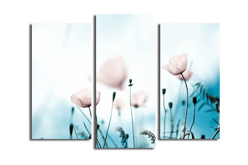 Canvasbilde 3-pk flerfarget - 22x03 cm - Interiør - Maleri & posters - Lerretsbilder