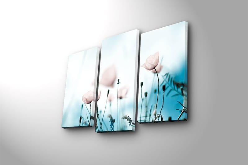 Canvasbilde 3-pk flerfarget - 22x03 cm - Interiør - Maleri & posters - Lerretsbilder