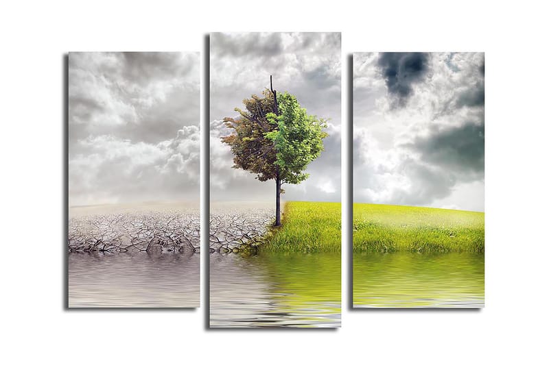 Canvasbilde 3-pk flerfarget - 22x03 cm - Interiør - Maleri & posters - Lerretsbilder