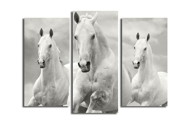 Canvasbilde 3-pk flerfarget - 22x03 cm - Interiør - Maleri & posters - Lerretsbilder