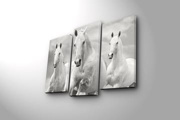 Canvasbilde 3-pk flerfarget - 22x03 cm - Interiør - Maleri & posters - Lerretsbilder
